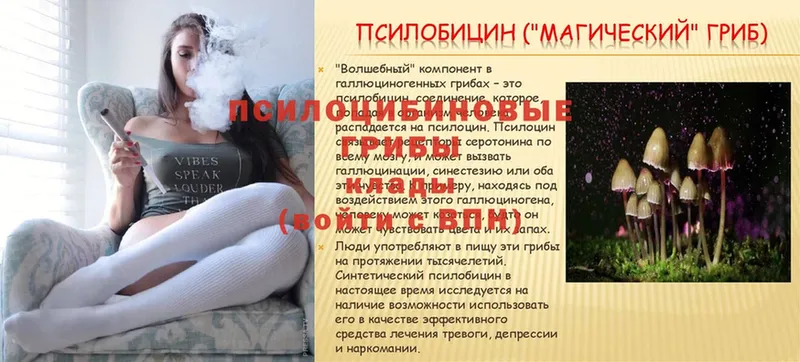 Где купить Ржев Cocaine  ГАШИШ  АМФ  Марихуана  Альфа ПВП 